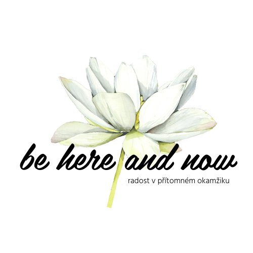 Logo Behereandnow.org